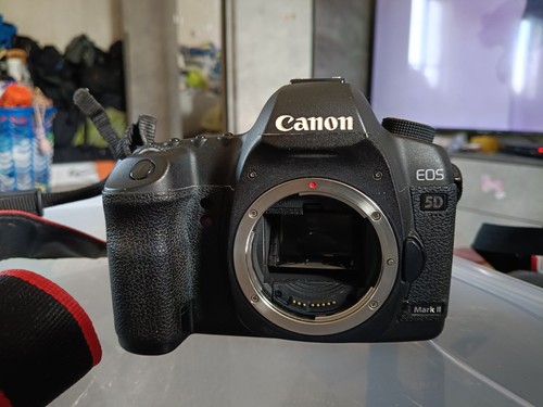 Canon eos mark solo - canon,